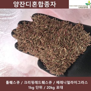 양잔디혼합 1kg 20kg 풀씨 양잔디혼합3종 혼합종자, 1개