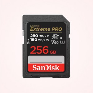 샌디스크 SD카드 익스트림 프로 V60 SDXEP 카메라 네비 디카 캐논 메모리, 256GB, 1개