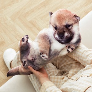 굴뚝강아지 똥강아지 인형 강아지 쿠션 애착 바디필로우 집들이 선물, 50cm, 1개