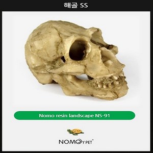 노모이 원효대사 해골물 소사이즈, 1개