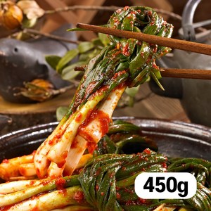 참가득 입맛 돋우는 파김치 450g 국산 100% 잔파 별미김치, 1개