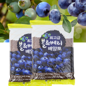 화분월드 정한 블루베리 배양토 35L, 1개