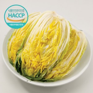 [HACCP] 해남 절임 배추 김장용, 도착희망일, 1개, 20kg