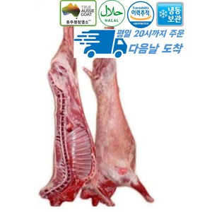 [행복미트] 호주산 껍데기없는 염소 고기 절단 지육 (고기+뼈) 8kg내외 Halal Goat Meat [당일발송], 1개