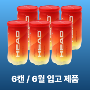 헤드 테니스공 챔피온쉽 캔볼
