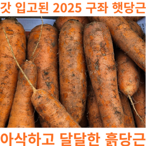 제주 구좌 당근 국내산 2025 햇당근 특품 품절대란, 1박스, 1kg (중)