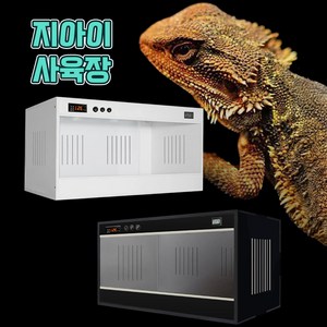 지아이 파충류 사육장 대형 도마뱀 엑소테라 케이지 온도조절, 1개, 1. 블랙 60X40X40
