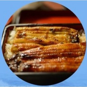 [당일 배송]남해 자연산 힘찬 (반건조)장어 1.4~1.6kg, 1.4~1.6kg(3~6미, 크기에 따라 차이), 2개