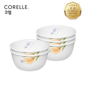 베고니아 한국형밥공기 5P 세트, 5개