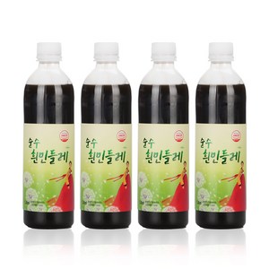 해담은베리 순수 흰민들레즙 흰민들레엑기스 흰민들레진액 생산자 직접판매, 500ml, 4개