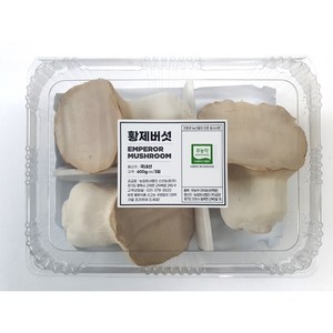 명품 프리미엄 무농약 황제버섯 600g 내외 (3입), 1세트