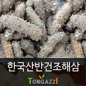 한국 자연산 반건조 해삼 자숙해삼 즉석조리가능 특급요리용 특별가1번지 사용중 최자연건강식품 특품건해삼 용리용 한국산 입점, 1세트, 특100g(약5미내외)