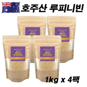 에코홀릭 루피니빈 호주산 루피니빈콩 루핀콩, 4개, 1kg