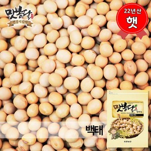 맛봉달 햇 24년산 백태 메주콩 대두 두부콩 국내산, 1개, 1kg