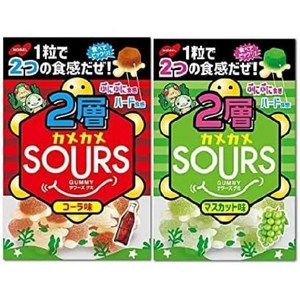 노벨 2층 거북이 SOURS 사워즈 콜라 머스캣 구미 일본 젤리 2종 45g 12봉지, 12개