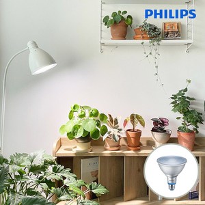 [ PHILIPS 코리아 공식판매점 ] 필립스 PAR38 LED 식물조명 식물등 생장등 테라리움 다육이 식물램프, 필립스 PAR38 LED 식물등