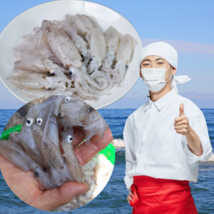 먹사부 태안 꼴뚜기 호래기 냉동 생물 꼴뚜기 회 횟감 자연산 국산, 1kg (급냉), 1개