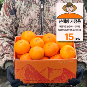 15bix 당도선별 제주 천혜향 가정용, 1박스, 5kg(25과 내외)