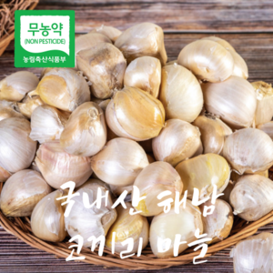 국산 알찬 무농약 코끼리마늘 쪽마늘 종자용, 1kg, 1박스