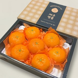 산지직송 제주 프리미엄 고당도 레드향 선물세트, 1박스, 3kg