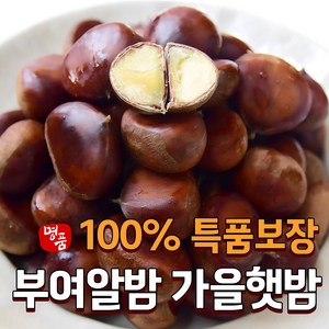 [특선별] 2024 햇밤 국산 부여 알밤 생 왕밤, 1개, 1kg