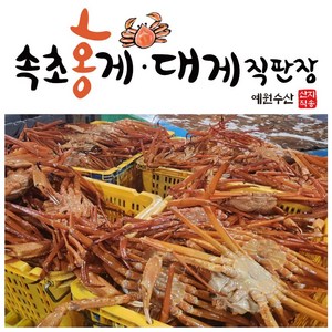 [속초 수율보장 홍게] 예원수산 제철홍게 라면용홍게 정품박달홍게 생물(활) 자숙(찜) 홍게택배, 3kg(9-11미), 1박스