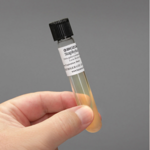 오피스안 황색포도상구균10ml Staphylococcus aueus 살아있는황색포도상구균