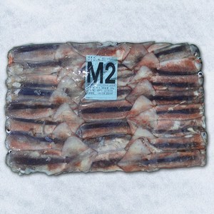 식당용/업소용 선동오징어 2M사이즈 20kg (포크 냉동), 1개, 2M (20Kg블록)