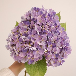 플라우스302 물안개 수국 생화같은 성묘 조화 부케 2개세트, 퍼플, 2개