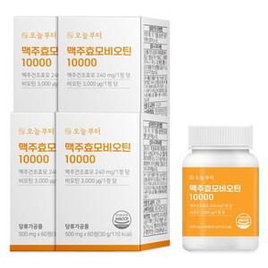 오늘부터 맥주효모 비오틴10000 L시스틴 (60정), 60정, 4개