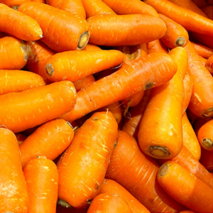 세자매 제주 구좌 산지직송 세척당근, 왕, 1개, 3kg