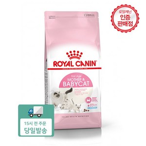 [도그씨] 로얄캐닌 마더앤 베이비캣 4kg 임신 수유기 키튼사료, 상세 설명 참조, 상세 설명 참조, 상세 설명 참조