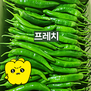 프레치 국내산 싱싱 아삭이고추 오이고추, 상 1kg, 1개