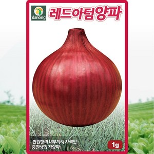 다농 레드아텀양파 씨앗 1g 적양파씨 종자, 1개