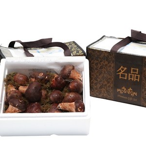 참송이버섯 명절 실속형 고급 명절 선물세트, 500g, 1개
