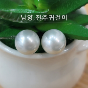 14k 남양진주귀걸이 10mm 11mm 13mm 혼주 한복