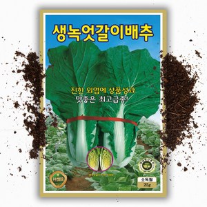 씨앗팜 엇갈이 배추 씨앗 종자 25g 얼갈이 배추 씨, 1개