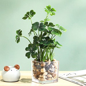 스토니그린 인테리어 조화꽃 미니 조화화분, 클로버, 1개