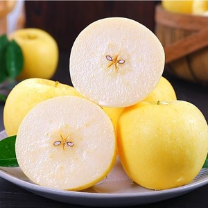 [역대급초특가] 꿀즙bix 못난이 시나노골드 사과, 1개, 6kg