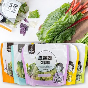 친환경 샐러드 야채 다이어트 샐러드 식단 관리 100gX5팩(5종 중 1세트) 유기농식단
