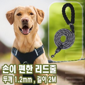 코코노피 강아지리드줄 목줄 강아지산책줄 소형견 중형견 대형견 애견 반려견 로프 리드줄 [ 12mm - 2 M }, 그레이, 1개