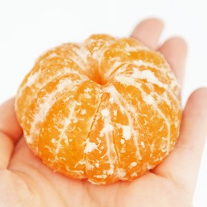 [제철365] 새콤달콤 제주도 귤, 1개, 5kg(대과)