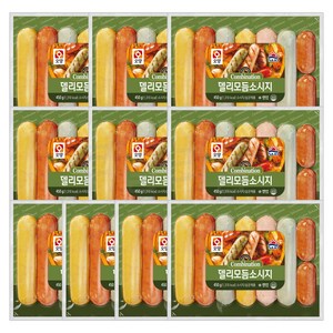 판매자 햇살누리 상품 델리 모듬 소세지 450g, 10개