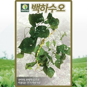 다농 백하수오 씨앗 50립 하수오씨 약초 종자, 1개
