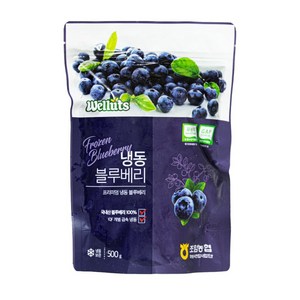 웰루츠 국내산 무농약 냉동 블루베리, 500g, 2개