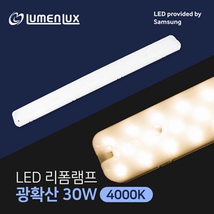 루멘룩스 광확산타입 30W 안정기일체형 리폼램프 FPL 55w 대체용 LM52045M30-CS, 주백색, 1개