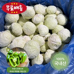 프레니쉬 달고 아삭한 국내산 양배추(1인양배추/6kg/9kg내외 1BOX), 6kg, 1박스