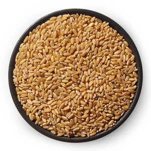 2024 햇 카무트 쌀 호라산밀 카뮤트 고대곡물, 5kg, 1개