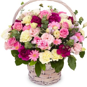 꽃뜨랑 생화꽃바구니 케익 생일선물 개업꽃 축하선물 전국당일꽃배달, C04 알콩달콩