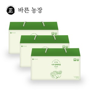 바른농장 프리미엄 유기농 사과 양배추즙 유기농 양배추 진액, 100ml, 90개